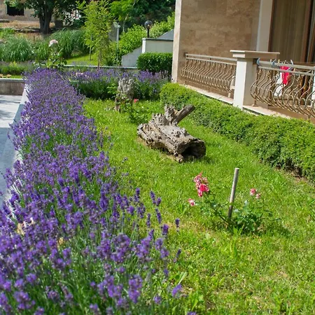 Hotell Paraiso Theopolis Obzor