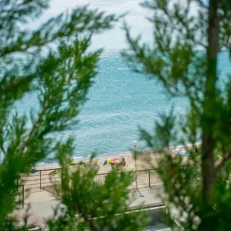 Paraiso Theopolis Obzor
