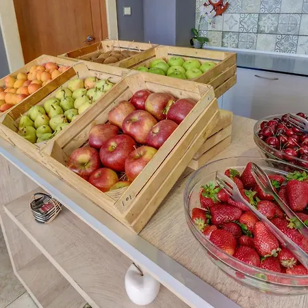 ホテル Paraiso Theopolis