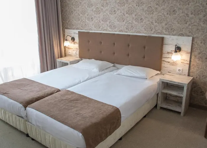 酒店 Paraiso Theopolis 3*