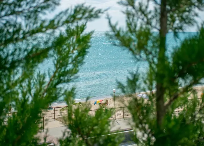 Paraiso Theopolis Obzor